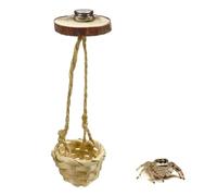 Lot de 2 balançoires décoratives avec aimants pour spoods sautants, cachettes d'araignée sautantes, accessoires d'habitat d'araignée sautante