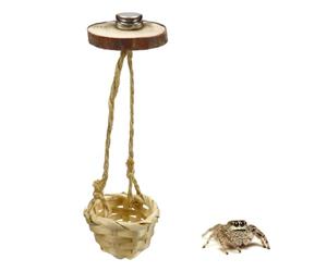 Lot de 2 balançoires décoratives avec aimants pour spoods sautants, cachettes d'araignée sautantes, accessoires d'habitat d'araignée sautante