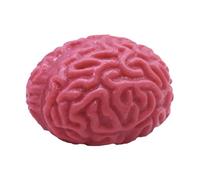 Lot de 2 balles anti-stress en forme de cerveau - 7 x 6 x 5 cm - Jouet réaliste - Faux orgue - Jouet à presser effrayant - Favorise une pensée saine - Soulage le stress