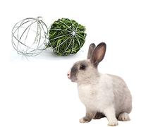 Lot de 2 balles de Foin traitent Le Distributeur de Foin Jouet Suspendu de Chargeur de Balle pour Le Lapin Hamster Cochon d'Inde (8cm)