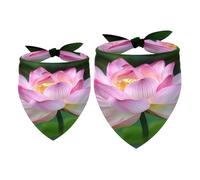 Lot de 2 bandanas d'été pour chien, motif fleur de lotus, bavoirs, écharpes pour chiens de petite, moyenne et grande taille