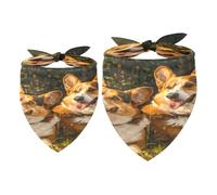 Lot de 2 bandanas pour chien Corgis Play on Lawn Fille Garçon Foulard Accessoires pour chiens de petite, moyenne et grande taille