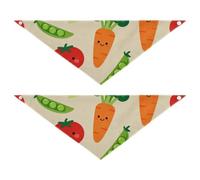 Lot de 2 bandanas pour chien Légumes doux et légers pour un usage quotidien Les animaux de compagnie veulent s'habiller 50,8 x 17,8 cm, 7,6 cm
