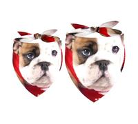 Lot de 2 bandanas pour chien portant des vêtements de Noël pour fille et garçon, écharpe, foulard, accessoires pour chiens de petite, moyenne et grande taille