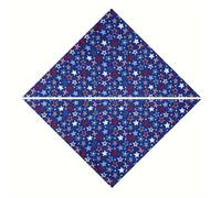Lot de 2 bandanas pour chien réversibles triangulaires patriotiques pour animaux de compagnie pour le 4 juillet, accessoires de vacances Medi pour petit festival