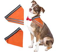 Lot de 2 bandanas réfléchissants pour chien Orange