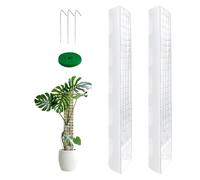 Lot de 2 bâtons de mousse pour monstera, 60 cm, support pour plantes en plastique, adapté pour plantes grimpantes d'intérieur et d'extérieur, bâton musqué pour grandir vers le haut