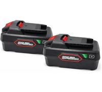 Lot de 2 batteries de rechange 20 V 5 Ah pour Parkside Pap 20 B1 B3 A1 A2 A3, compatible avec les appareils à batterie Parkside X 20 V et chargeurs PLG 20 A1/C1/C3/A3