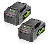 Lot de 2 batteries de rechange, 24 V, 4 Ah, pour Greenworks, ASUNCELL Li-Ion compatibles avec les outils Greenworks 24 V 29842 29852 BAG708 BAG711 20352 22232 2508302