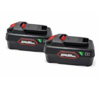 Lot de 2 batteries de rechange 5,0 Ah pour Parkside X 20 V Team Serie, compatible avec Pap 20 A1, A2, A3, B1, B3, compatible avec tous les appareils et chargeurs Parkside X 20 V (PLG 20 A1/C1/A3)