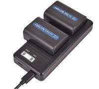Lot de 2 batteries de rechange NP-FM55H DSTE + chargeur double LCD compatible avec NP-FM50 NP-FM30 NP-FM51 CCD-TR108, TR208, TRV116, TRV118, TRV126, TRV128, TRV138, chargeur de batterie