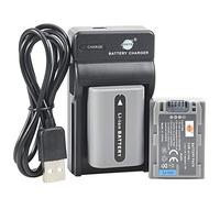 Lot de 2 Batteries Li-ION DSTE NP-FP50 + Chargeur Micro USB Compatible avec Sony DCR-DVD103, DCR-DVD105, DCR-DVD203, DCR-DVD205, DCR-DVD305, DCR-DVD92, DCR-HC20