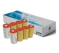 Lot de 2 batteries pour Karcher k50 4.8V 2000mAh Balai électrique - Visiodirect - G