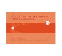 Lot de 2 blocs de papier professionnel en coton acide 300 g 20 feuilles multi-usages pour artistes, étudiants, voyages, haute capacité d'absorption