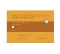 Lot de 2 blocs de papier professionnel en coton acide 300 g 20 feuilles multi-usages pour artistes, étudiants, voyages, haute capacité d'absorption