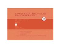 Lot de 2 blocs de papier professionnel en coton acide 300 g 20 feuilles multi-usages pour artistes, étudiants, voyages, haute capacité d'absorption