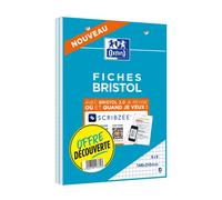 Oxford Lot de 2 blocs fiches bristol A5 148 x 210 mm perforées 30 fiches blanc