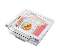 Lot de 2 boîtes de rangement extractibles pour tiroir de réfrigérateur, 24 x 24 x 7 cm, organiseur sous étagère pour réfrigérateur, œufs, légumes, aliments (3)