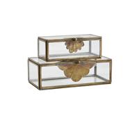 Lot de 2 boîtes en verre et fer Brass Leaf