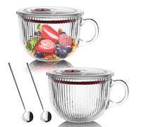 Lot de 2 bols à céréales en verre transparent avec poignée, tasse à café en verre avec couvercles, bols à lait, petit-déjeuner, bol à yaourt, pour latte, dessert, boisson, thé, micro-ondes, 400 ml