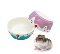 Lot de 2 bols de nourriture pour hamster, petits animaux, bol en céramique pour empêcher le basculement de bouger pour cochon d'Inde, gerbille, chinchilla, hérisson, rat (couleur : violet + bleu)