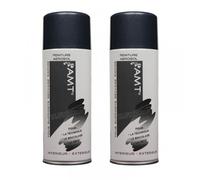 Lot De 2 Bombes De Peinture - Ardoise Métallisé - Amt