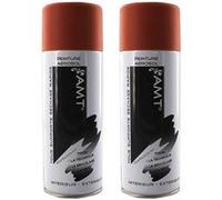 Lot de 2 bombes de peinture - blush mat - AMT
