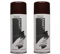 Lot de 2 bombes de peinture - chocolat - AMT