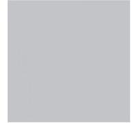 Lot de 2 bombes de peinture - galet mat - AMT