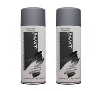 Lot De 2 Bombes De Peinture - Gris Mat - Amt