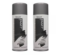 Lot De 2 Bombes De Peinture - Gris Métallisé - Amt