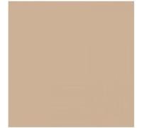 Lot de 2 bombes de peinture - Lin mat - Amt