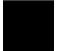 Lot de 2 bombes de peinture - noire brillant - AMT