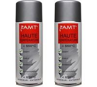 Lot de 2 bombes haute température - gris - AMT Gris