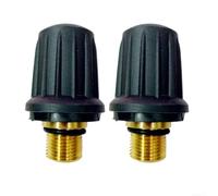 Lot de 2 bouchons de valve de sécurité en laiton pour nettoyeur vapeur Karcher avec soupape de sécurité et joint torique, convient pour modèles SC1 SC2 SC3