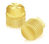 Lot de 2 bouchons de vidange de bateau en laiton massif 1/2" NPT pour coque de rechange, bouchon de vidange compatible avec Glastron Bayliner Sea Ray Four Winns, convient à la plupart des coques