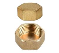 Lot De 2 Bouchons Filetés En Laiton - Accessoires De Conduite d'Eau Pour Machine à Laver, Radiateur et Robinet