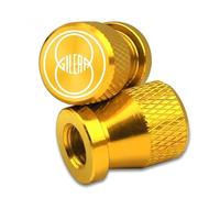 Lot de 2 Bouchons Valve Pneu CNC Bouchons Valve P pour GP800 Fuoco Nexus 500 Runner 50 125 200 Bouchons De Valve Pneu Moto en Aluminium CNC(Yellow)