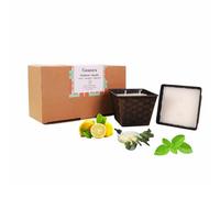 Lot de 2 bougies d'extérieur parfumées citron, eucalyptus et menthe poivrée, lumière d'urgence de 280 g par pot, bougie longue combustion pendant 25 heures, bougie de camping, bougie de soja pour
