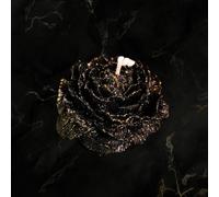 Lot de 2 bougies dorées pour jeu de cire, à basse température, sans danger pour le corps, bougies de massage romantique à la rose de soja (1, pivoine noire dorée)