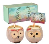 Lot de 2 bougies mignonnes pour anniversaire de mère, cadeau d'anniversaire pour femme, chouette