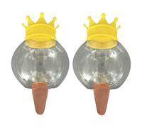 Lot de 2 boules d'arrosage pour d'extérieur - Arrosage par transparent - Pour jardin, balcon, terrasse, bureau, salon, chambre