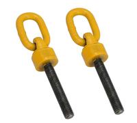 Lot de 2 boulons à œil pivotants M20 x 120 mm avec anneau Capacité 2 tonnes