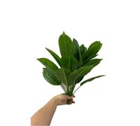 Lot de 2 bouquets d'oiseaux de paradis artificiels de 45,7 cm, feuilles tropicales artificielles Strelitzia 12 feuilles de bananier pour arrangement floral en pot, décoration d'extérieur résistante