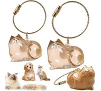 Lot de 2 bouteilles de rangement pour poils de chat, porte-clés pour recueillir les poils de chat et de chien, capsules de rangement pour poils de chat, bouteille de rangement transparente pour poils