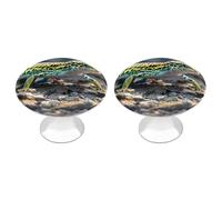 Lot de 2 boutons d'armoire de cuisine ronds de style moderne motif léopard Little Gecko pour la maison, le bureau, la cuisine