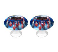 Lot de 2 boutons d'armoire ronds en forme d'aigle à tête blanche pour tiroirs de commode, poignées de porte d'armoire, quincaillerie pour armoires de cuisine et de salle de bain