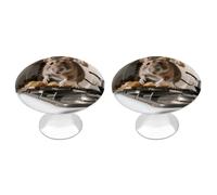 Lot de 2 boutons ronds en forme de souris de 2,8 cm en acier inoxydable avec vis pour commode, placard, porte de placard, armoire, facile à installer