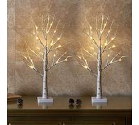 Lot de 2 branches lumineuses Eambrite 24 LED blanc chaud - Sapin - Branches de bouleau - Fonctionnement à piles - Décoration de Noël pour la maison, les fêtes, les anniversaires, les mariages