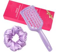 Lot de 2 brosses à cheveux démêlantes ventilées avec chouchous pour femmes et filles